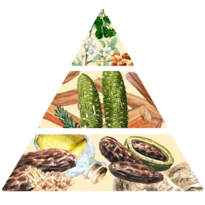 Pyramide olfactive Bois de Santal pour huile parfumée Lueur Perlée.