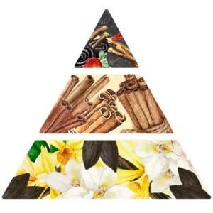 Pyramide olfactive Cannelle pour huile parfumée Lueur Perlée.